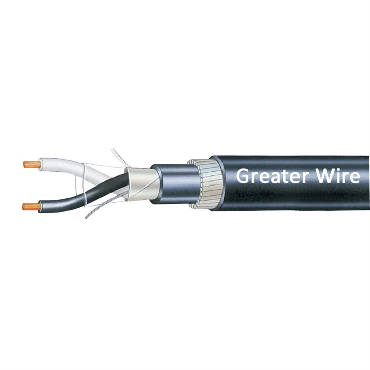 Instrumentacijski kabel Skupni zaslonski pari s SWA